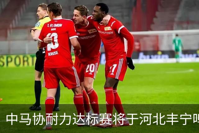 中马协耐力达标赛将于河北丰宁鸣枪 数十家专业马术俱乐部角逐