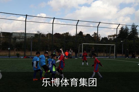乐博体育集团介绍