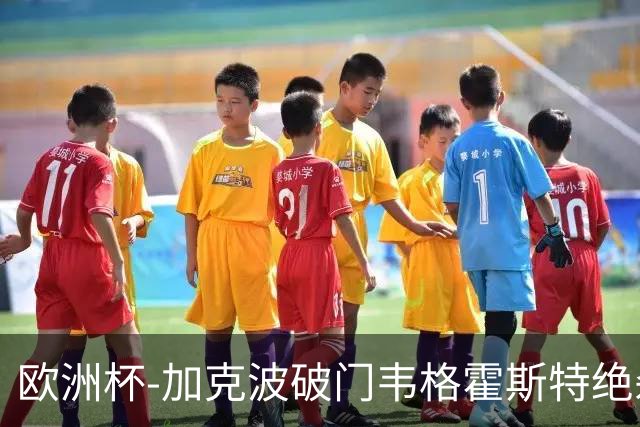 欧洲杯-加克波破门韦格霍斯特绝杀 荷兰2-1波兰